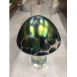 AN IRRIDESENT GLASS MUSHROOM HEIGHT 10CM