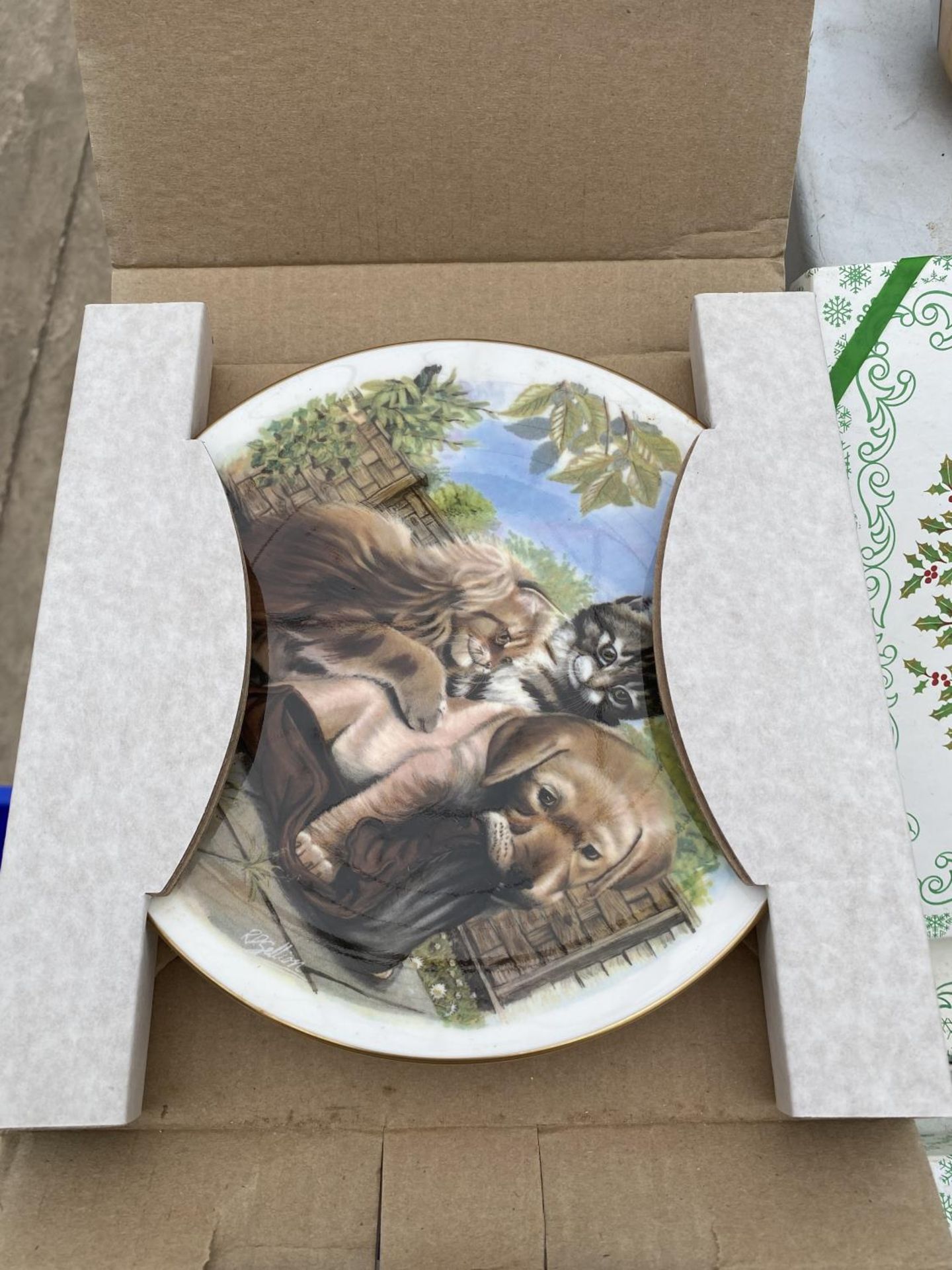 AN ASSORTMENT OF CERAMIC COLLECTORS PLATES TO INCLUDE ROYAL DOULTON ETC - Image 5 of 7