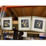 THREE SIGNED C M RIDGWAY FRAMED FLORAL WATERCOLOURS 22CM X 23.5CM