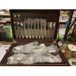 AN ARTHUR PRICE OF ENGLAND COMPLETE BOXED CANTEEN OF CUTLERY - AS NEW