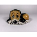 A LORNA BAILEY POTTERY DOG - DOZY