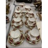 A QUANTITY OF ROYAL ALBERT 'COLD COUNTRY ROSES' TO INCLUDE CUPS, SAUCERS, SIDE PLATES, A CREAM