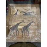 TWO PRINTS OF GIRAFFES ON HESSIAN