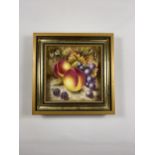 A NIGEL CREED SIGNED ROYAL WORCESTER HAND PAINTED FRUIT PLAQUE, (NOT MARKED TO REVERSE)