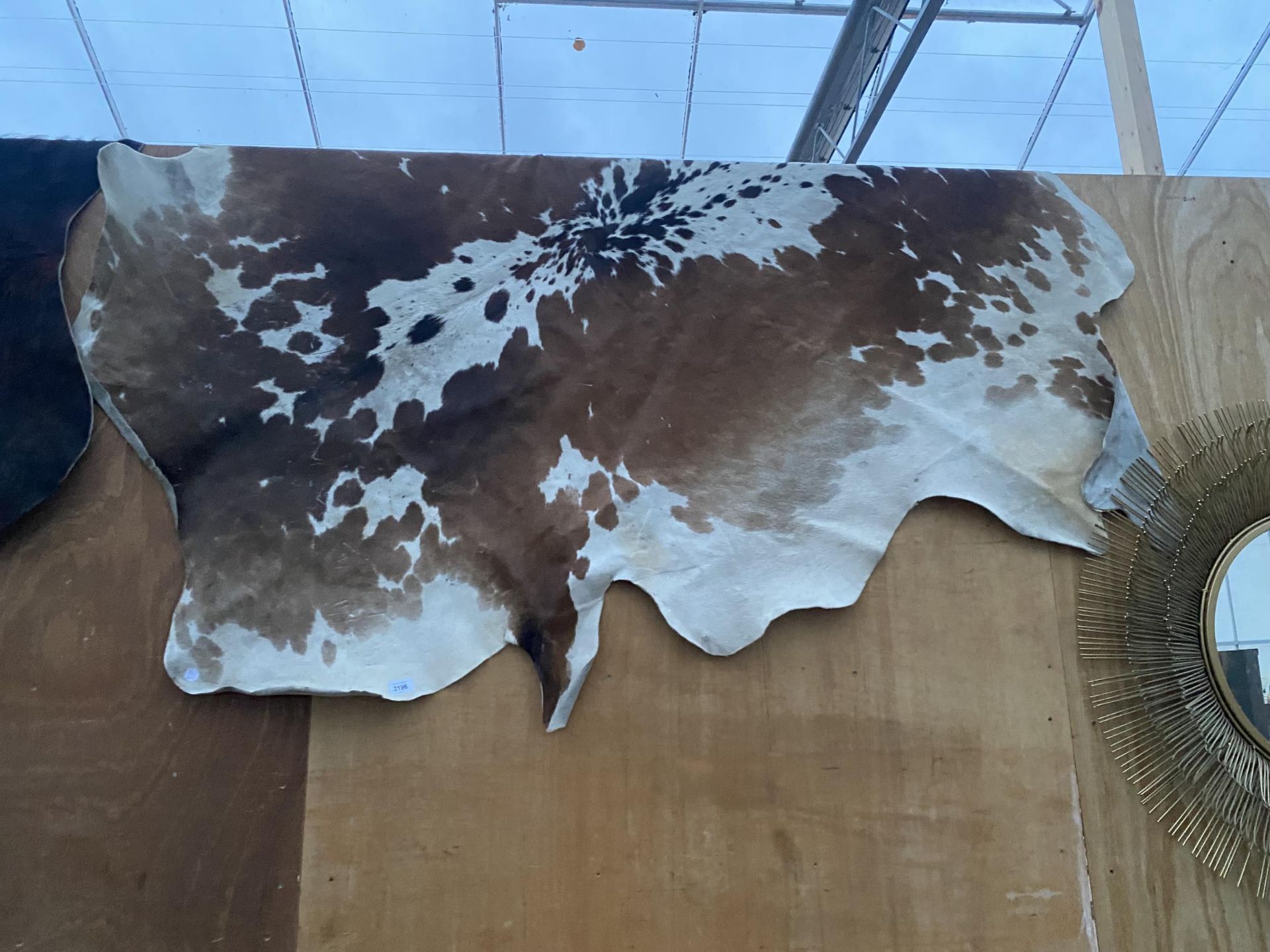 AN ANIMAL HIDE RUG