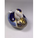 A ROYAL CROWN DERBY DUCK PAPERWEIGHT (NO STOPPER)