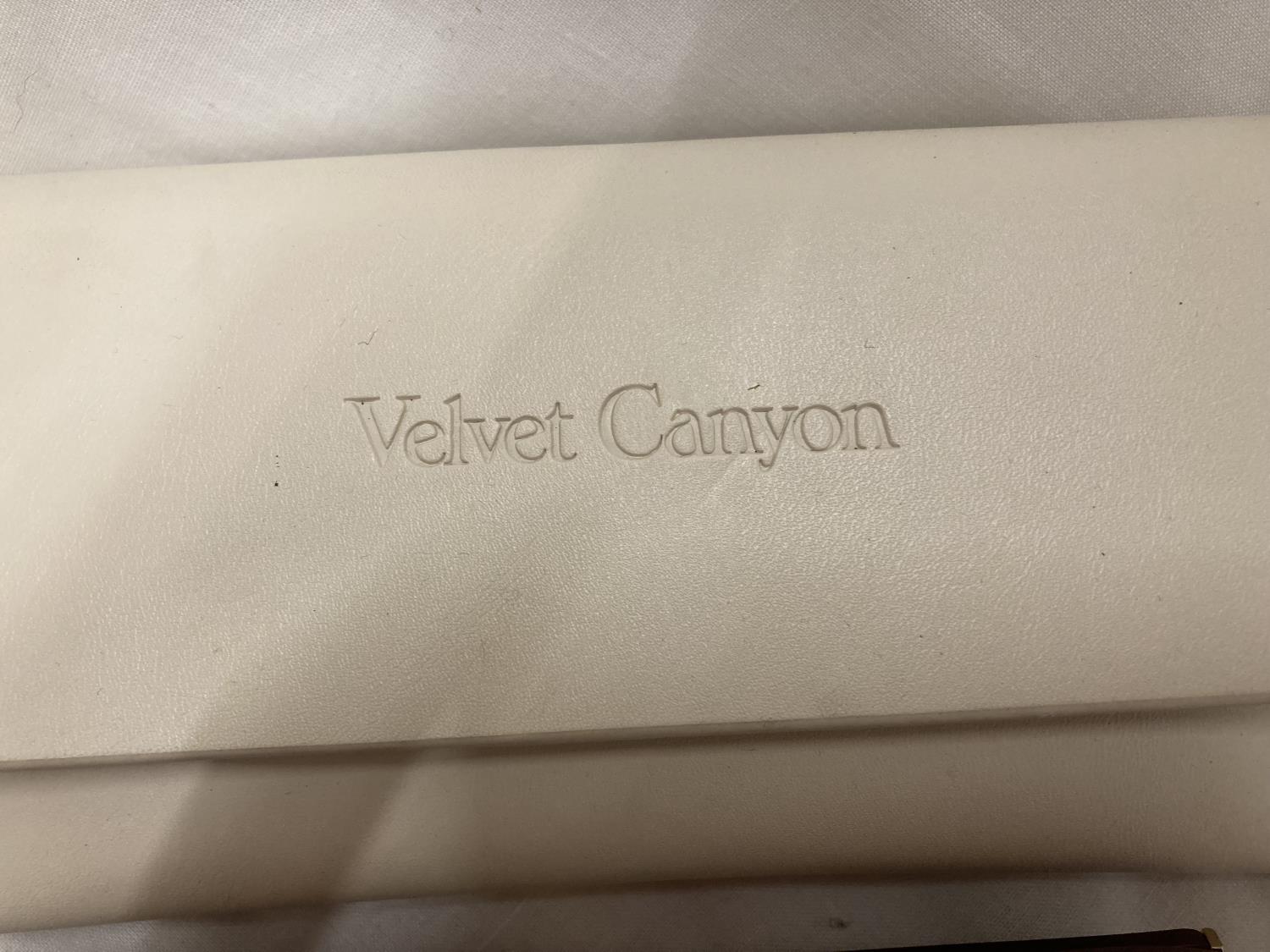 A PAIR OF 'VELVET CANYON' SUNGLASSES PLUS CASE - Image 2 of 2