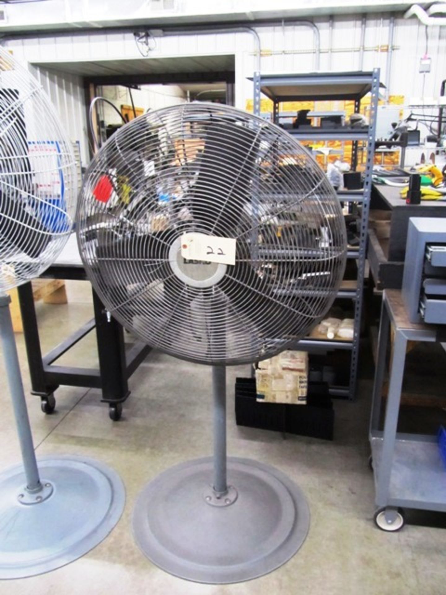 Pedestal Fan