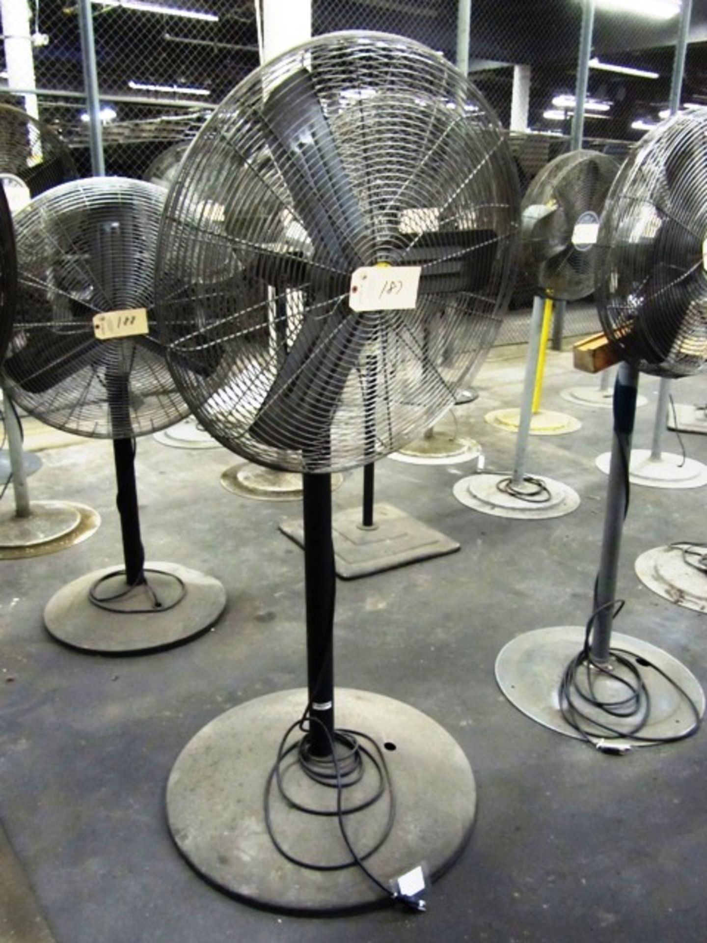 Pedestal Fan