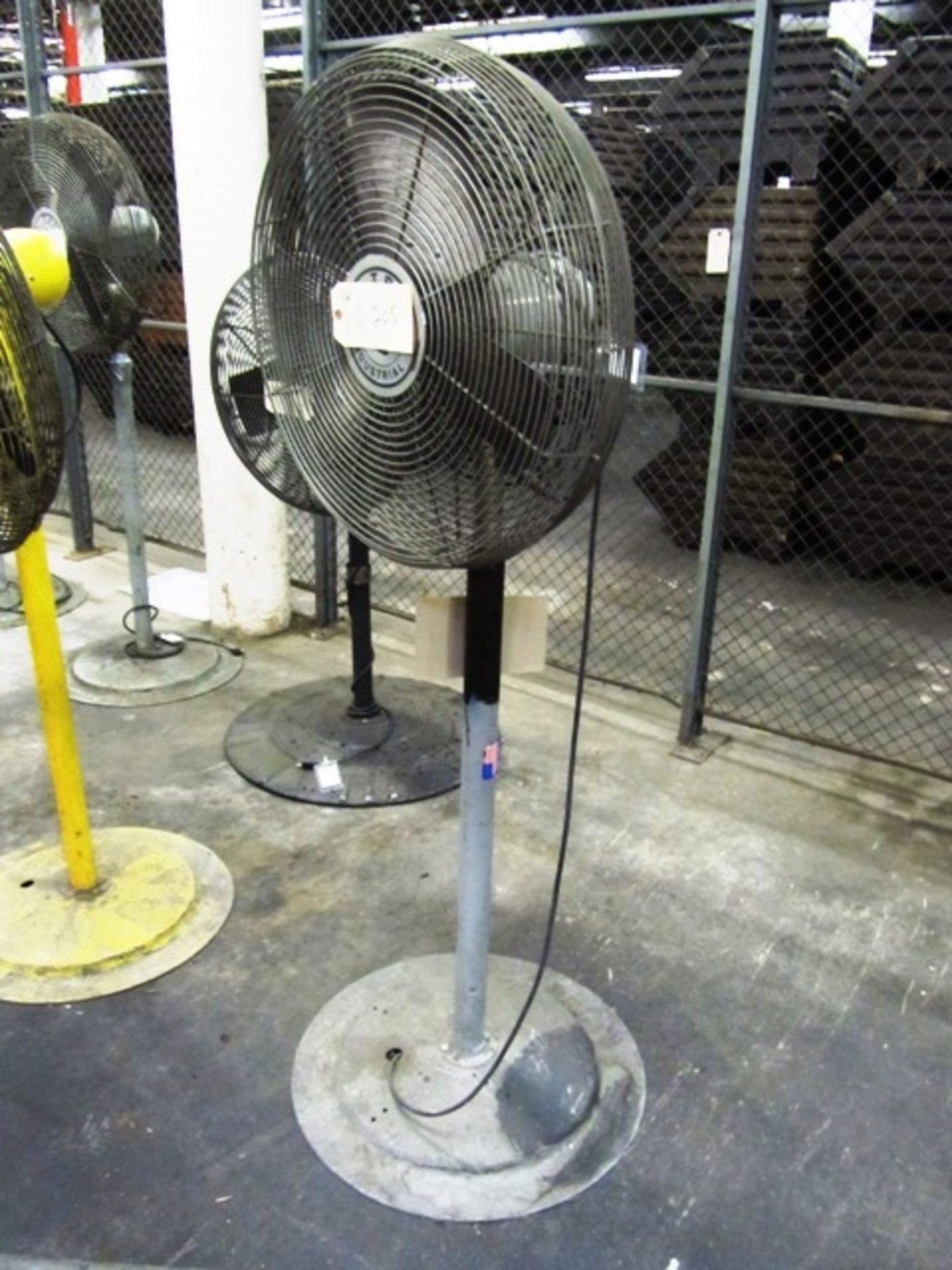 Pedestal Fan