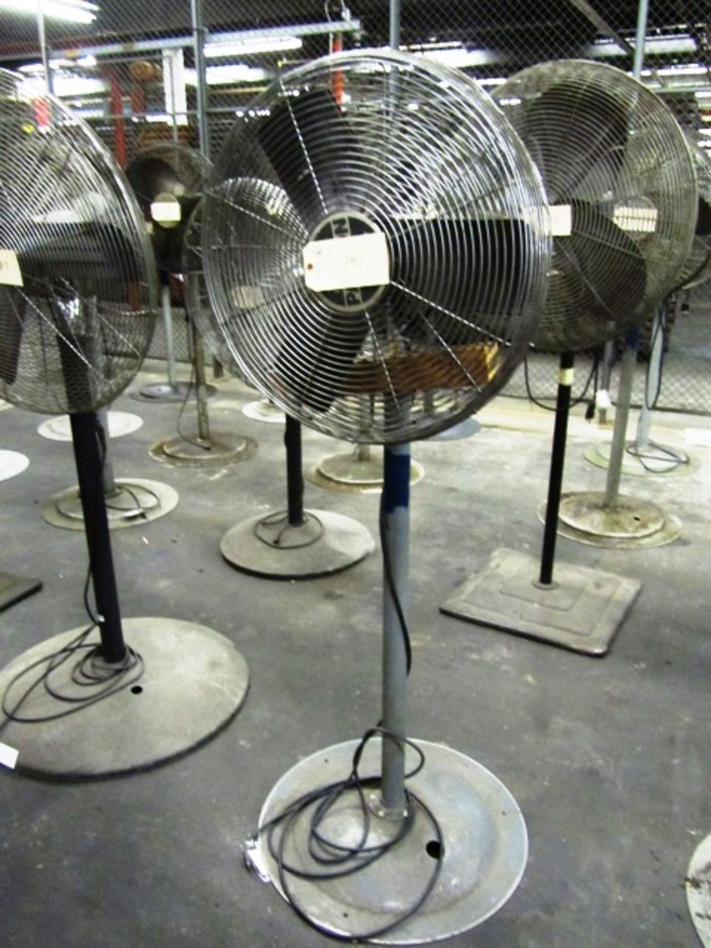 Pedestal Fan