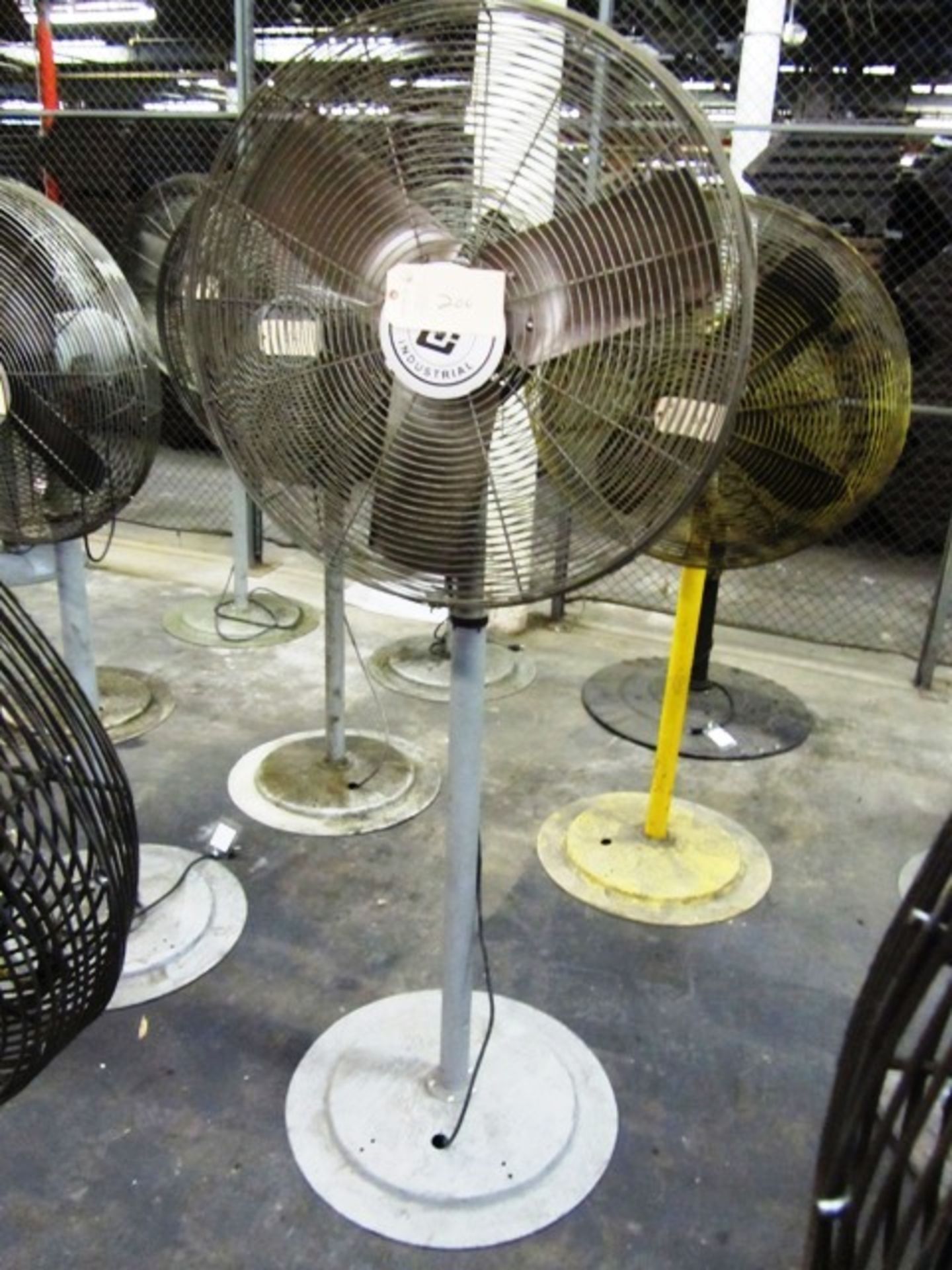 Pedestal Fan