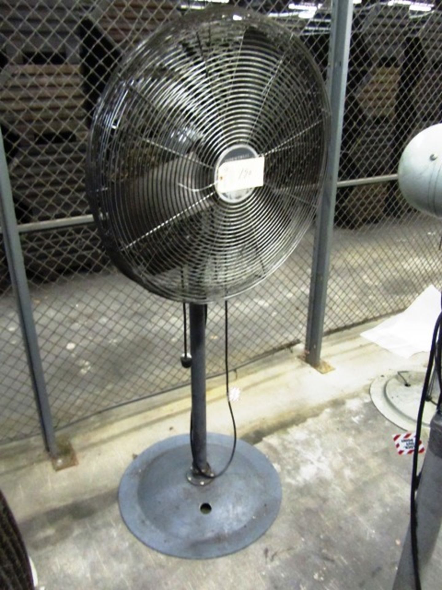 Pedestal Fan