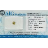 1 DIAMOND 0,23 CT N.F.INTENSE GREENISH YELLOW - SI1 - SHAPE RADIANT - CERTIFICATION AIG - F20901-8