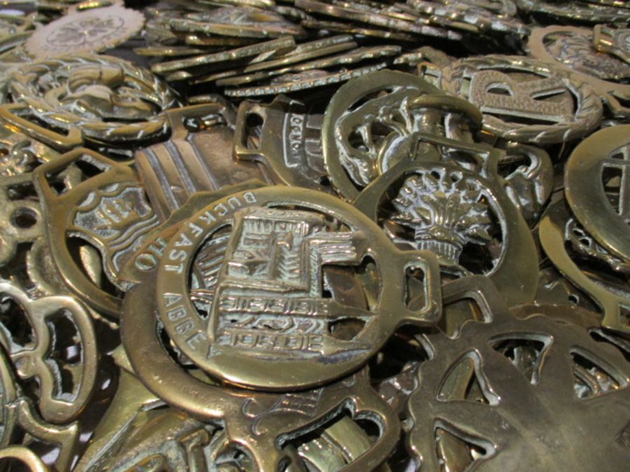 A large collection of horse brasses - Image 3 of 10