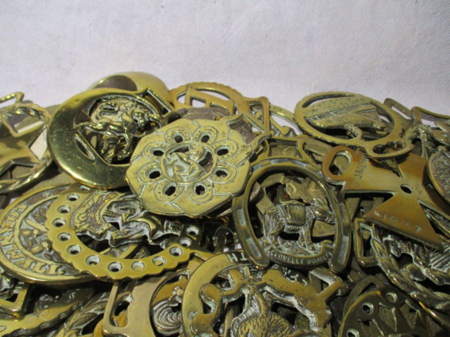 A large collection of horse brasses - Image 6 of 10