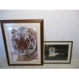 Two framed photographic prints of tigers, one signed in pencil by artist
