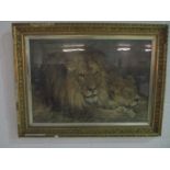 A large framed Pears print, Lion and Lioness after Sir Edwin Landseer