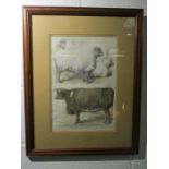 A framed antique print "Prize animals at the Smithfield Club Cattle Show" circa 1860's, showing a