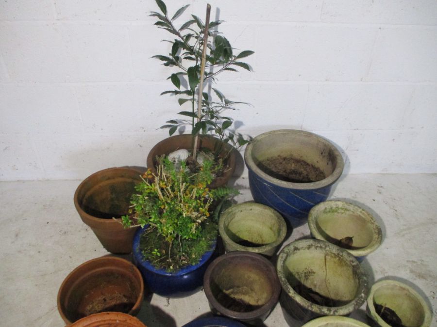 A collection of garden pots including glazed and terracotta. - Image 6 of 11