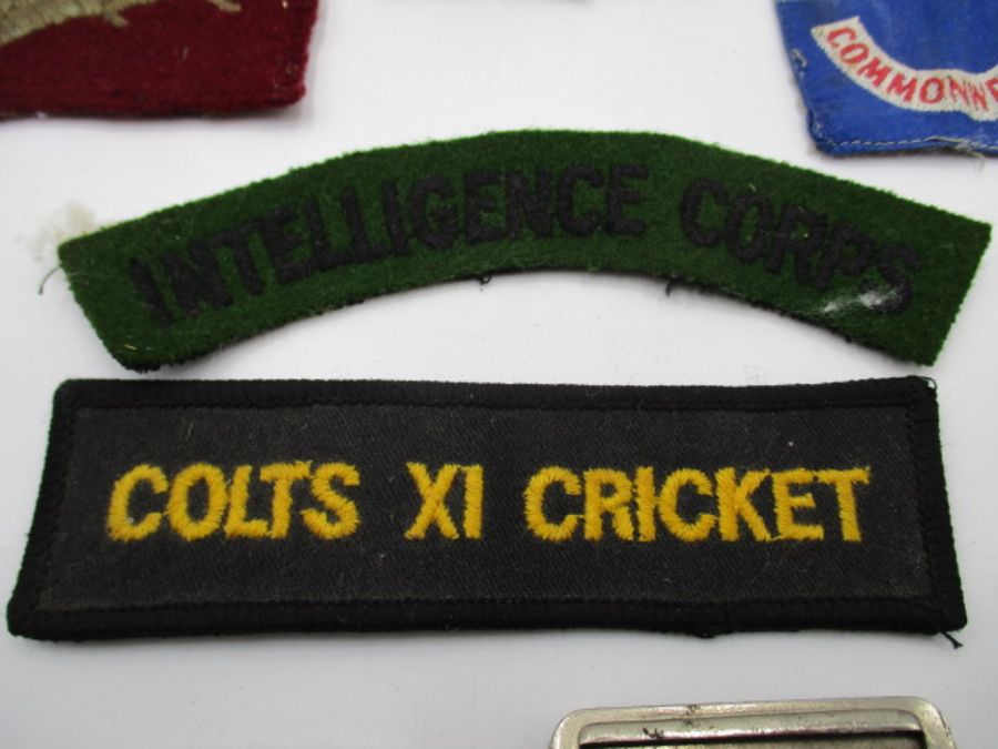 A collection of cloth and other military badges including Paras, Intelligence Corps etc. - Bild 8 aus 10