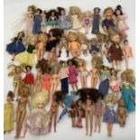 A large collection of small dolls including Dawn, Ginny Vogue, Roddy, Hornby etc