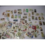A collection of vintage cigarette cards including John Player & Sons, Churchman's, WD & HO Wills.