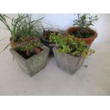 A small collection of garden pots