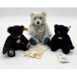 Three Classic Steiff Teddy Bears all with their original gold buttons and labels including Classic
