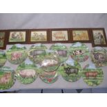 A set of twelve Royal Doulton collectors plates from the "Pigs in Bloom" collection by Debbie Cook -