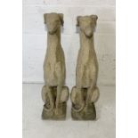 A pair of reconstituted stone greyhounds H70cm