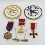 A collection of Benevolent Society medals and badges