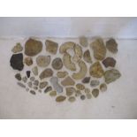 A quantity of geological specimens, including a natural fire opal, a trilobite, ammonites and