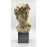 A large plaster portrait bust of David, 20th century marked 983 to reverse - Height 60cm