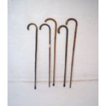 Five cane walking sticks, some with silver collars.