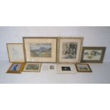 A quantity of various framed pictures, including a limited edition signed print 'Muscovy Ducks' by
