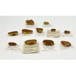 A collection of amber specimens many with insect inclusions including Baltic and Dominican examples.
