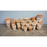 A large quantity of various sized terracotta garden pots.