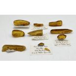 A collection of amber specimens many with insect inclusions including a number of Baltic amber