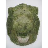 A reconstituted stone lions head water feature