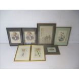 A quantity of various framed pictures, including portraits, flowers etc.