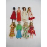 A collection of Palitoy Pippa dolls including Mandy, 2 x Pete's, Penny Brown and Pippa