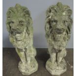 Two weathered reconstituted stone lions. Height approx 54cm