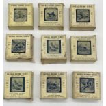 Nine boxed sets of Natural History Magic Lantern slides from the Junior Lecturer's Series each box