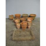 A collection of terracotta pots, including a galvanised tray.