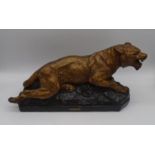 A vintage French plaster statue of a tiger entitled "Tigre Blesse" with name J.B.Parris marked to