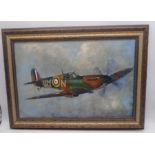 A framed oil painting on canvas of a WW2 Spitfire aeroplane, signed Roy Burden 2002 - 54cm x 74cm