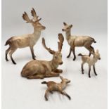 A collection of Beswick Reindeer including two stags, doe and two fawns (1 A/F)