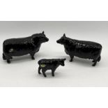 Three Beswick models of Aberdeen Angus cattle comprising bull no.1562, cow no.1563 and calf no.