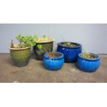 Five glazed garden pots.